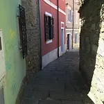 Vela
