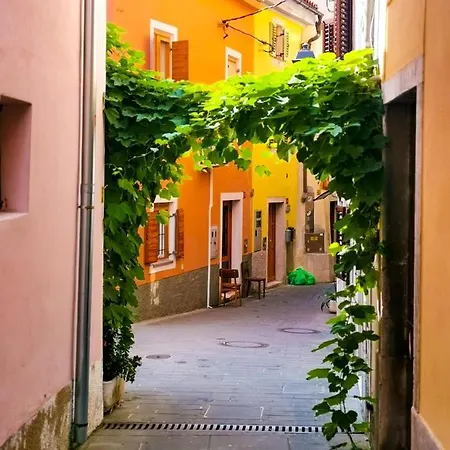 Vela Piran