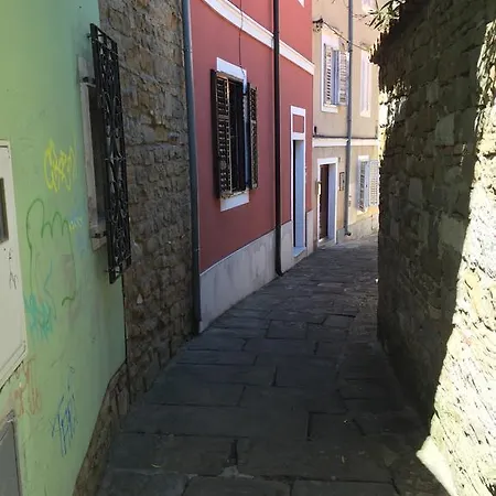 Vela